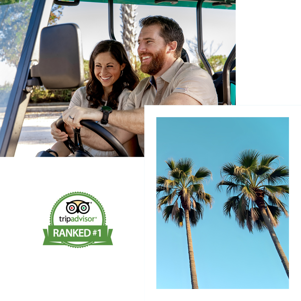 Golf cart rental on Anna Maria Island
